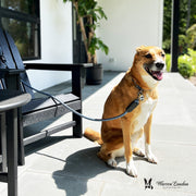 Warren London Rope Leash - Blue Reflective Leashes, Collars & Accessories