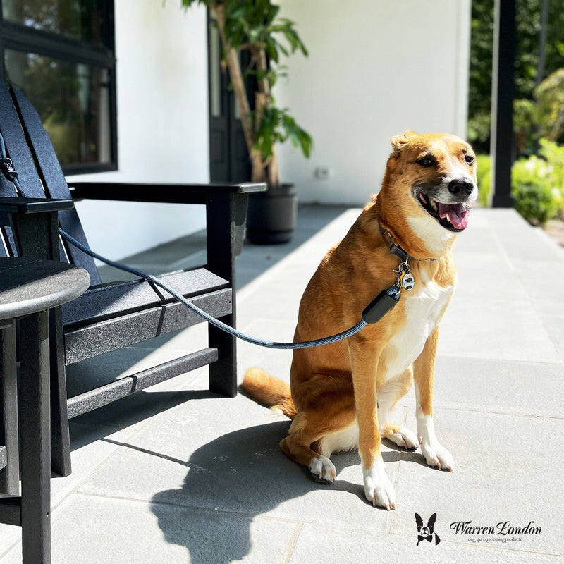 Warren London Rope Leash - Blue Reflective Leashes, Collars & Accessories