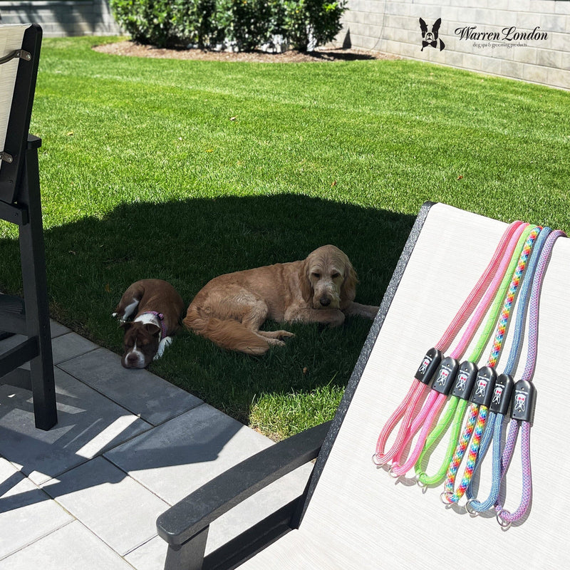 Warren London Rope Leash - Green Reflective Leashes, Collars & Accessories