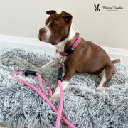 Warren London Rope Leash - Pink Leashes, Collars & Accessories