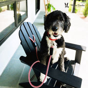 Warren London Rope Leash - 6 Styles Leashes, Collars & Accessories
