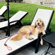 Warren London Rope Leash - 6 Styles Leashes, Collars & Accessories