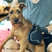 Warren London 2 in 1 Pet Grooming Glove for Dogs & Cats - Double Sided Pet Grooming Supplies