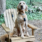 Warren London Rope Leash - Rainbow Reflective Leashes, Collars & Accessories