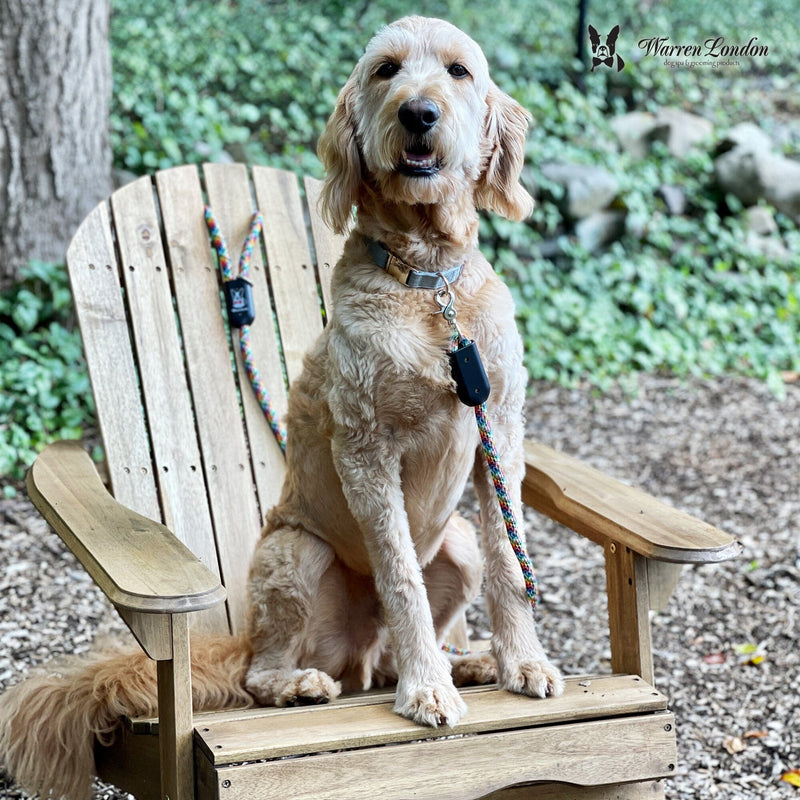 Warren London Rope Leash - Rainbow Reflective Leashes, Collars & Accessories
