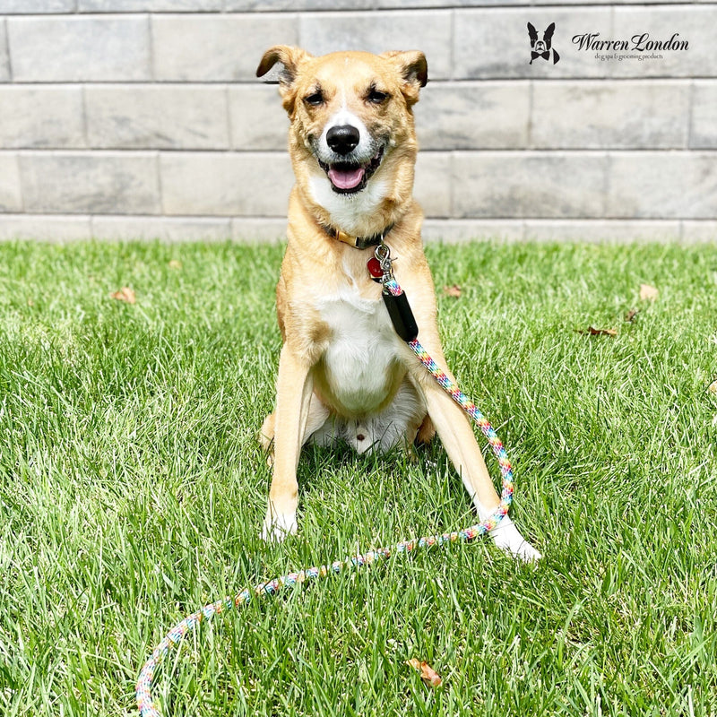 Warren London Rope Leash - Rainbow Reflective Leashes, Collars & Accessories