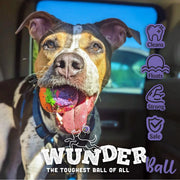 WACKYstore WUNDERball - Best Fetch Toy