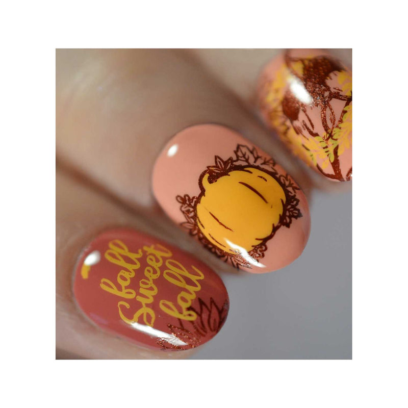 UberChic Beauty What A Wonder-Fall World Stamping Plate