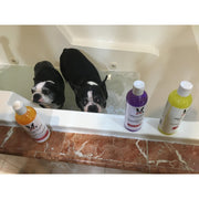 Warren London Neem Oil Oatmeal Shampoo - Soothes & Relieves Itching - Insect Repellant Dog Shampoo