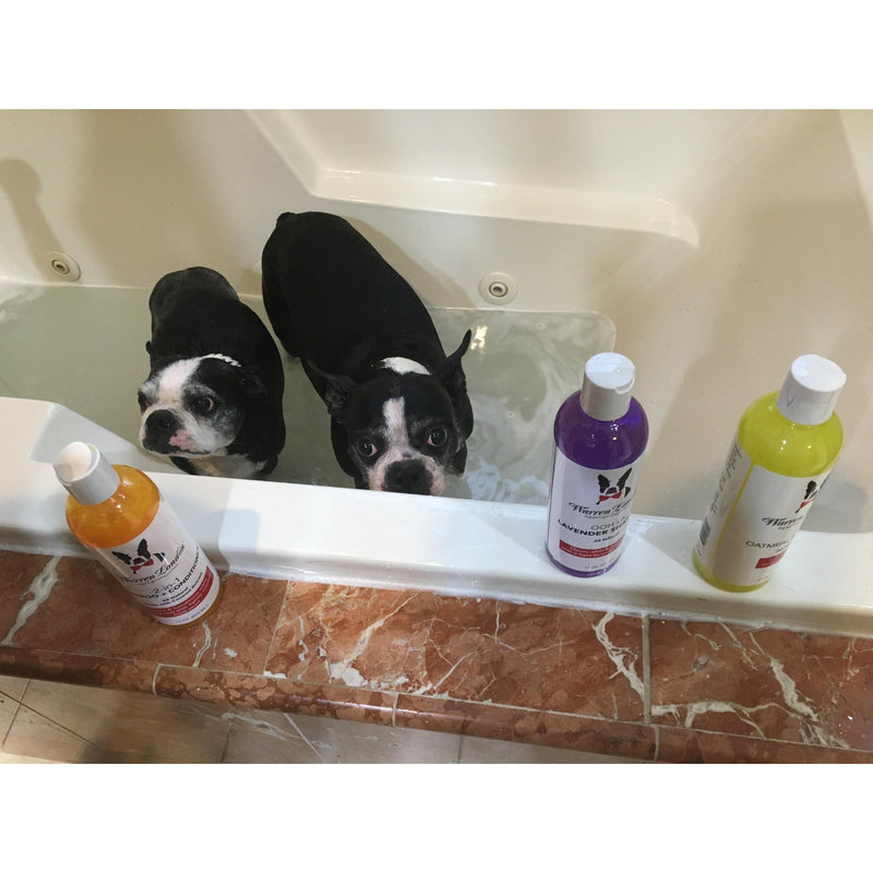 Warren London Neem Oil Oatmeal Shampoo - Soothes & Relieves Itching - Insect Repellant Dog Shampoo