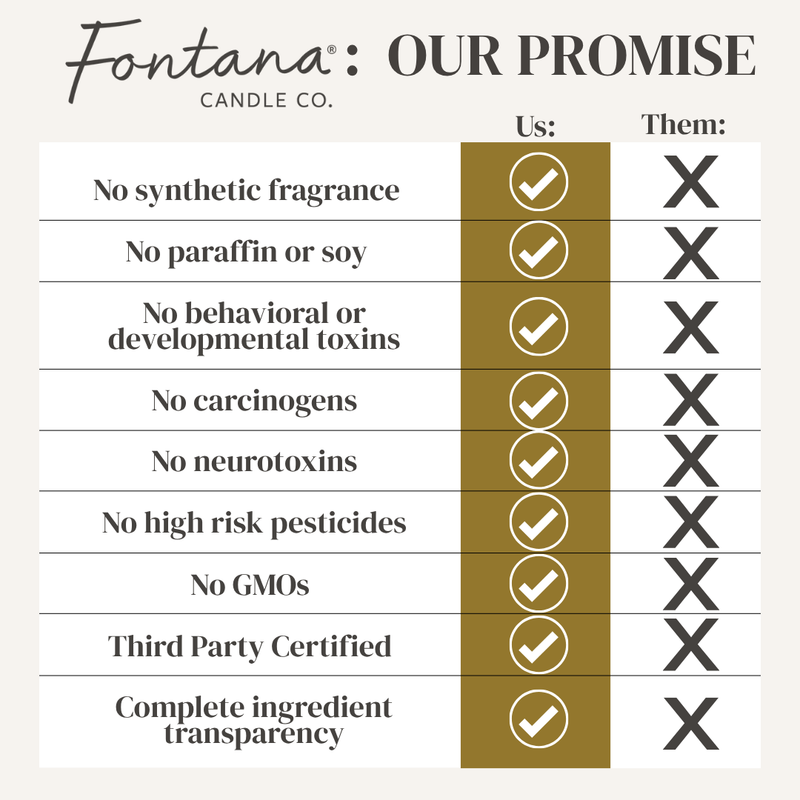 Fontana Candle Co Cheers! Congratulations Jar Candle Candles