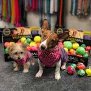 WACKYstore WUNDERball - Best Fetch Toy