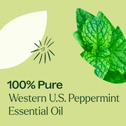 Plant Therapy Western U.S. Peppermint Essential Oil Essential Oil
