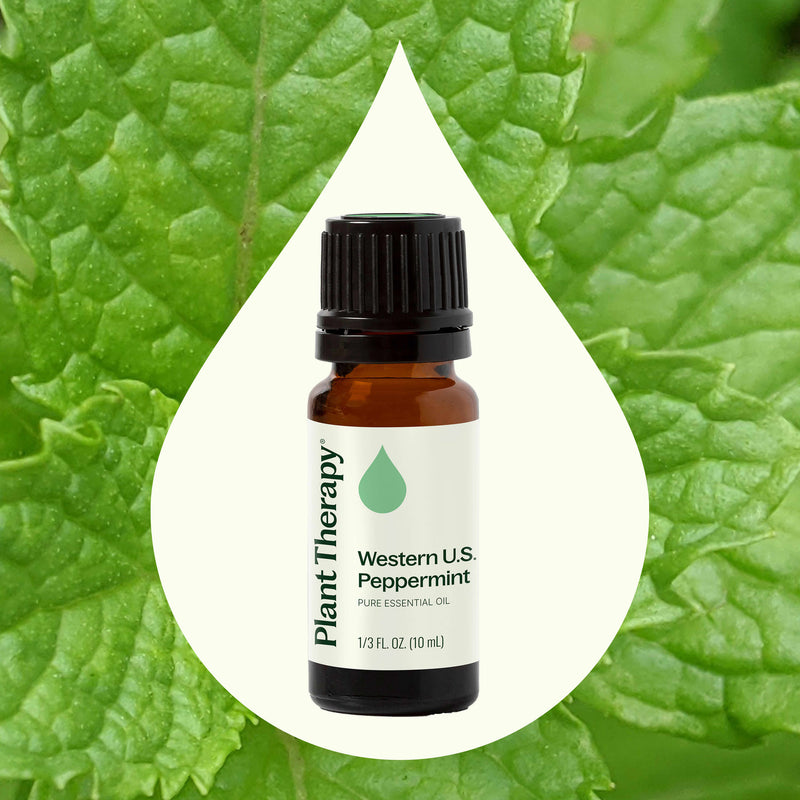 Plant Therapy Western U.S. Peppermint Essential Oil Essential Oil