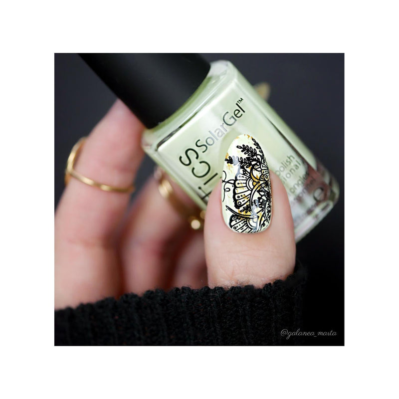 UberChic Beauty Whimsical By Nature-01 Stamping Plate