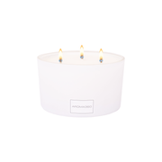 Aroma360 Déjà Vu 3-Wick Candle Candle