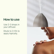 Plant Therapy White Camphor Essential Oil Essential Oil