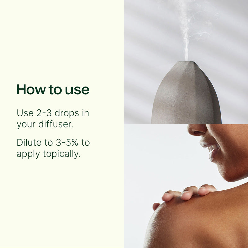 Plant Therapy White Camphor Essential Oil Essential Oil