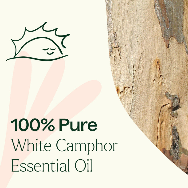 Plant Therapy White Camphor Essential Oil Essential Oil