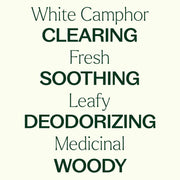 Plant Therapy White Camphor Essential Oil Essential Oil
