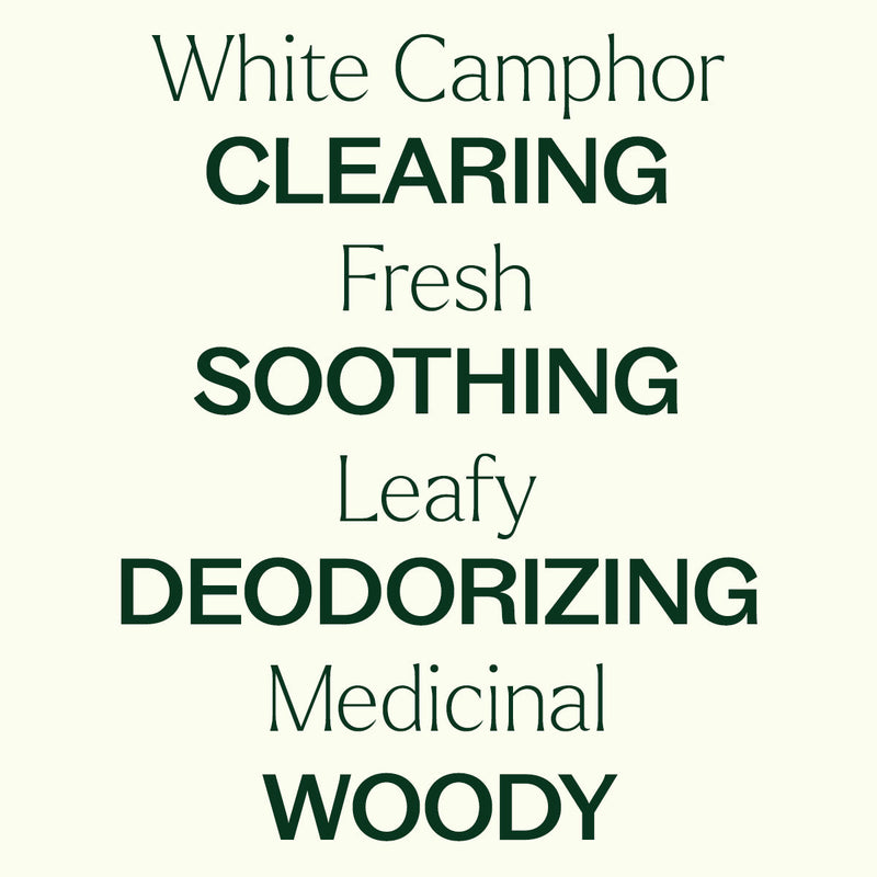Plant Therapy White Camphor Essential Oil Essential Oil