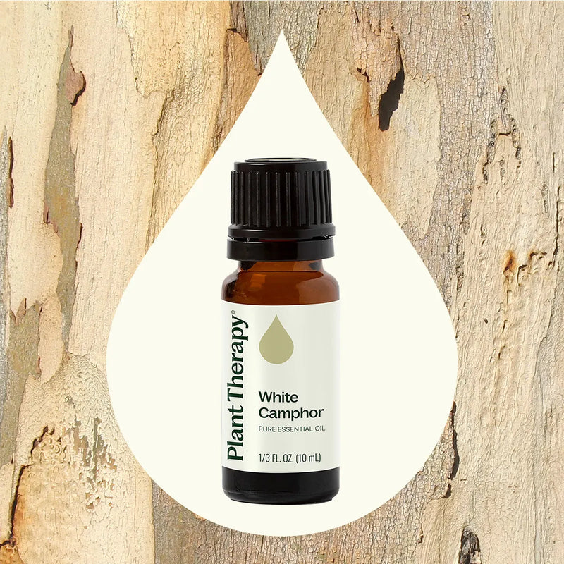 Plant Therapy White Camphor Essential Oil Essential Oil