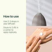 Plant Therapy Wintergreen Essential Oil Essential Oil