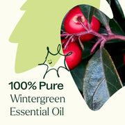 Plant Therapy Wintergreen Essential Oil Essential Oil