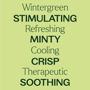 Plant Therapy Wintergreen Essential Oil Essential Oil