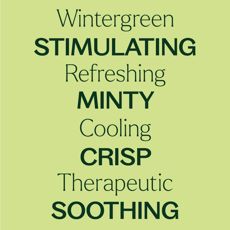 Plant Therapy Wintergreen Essential Oil Essential Oil