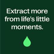 Plant Therapy Wintergreen Essential Oil Essential Oil