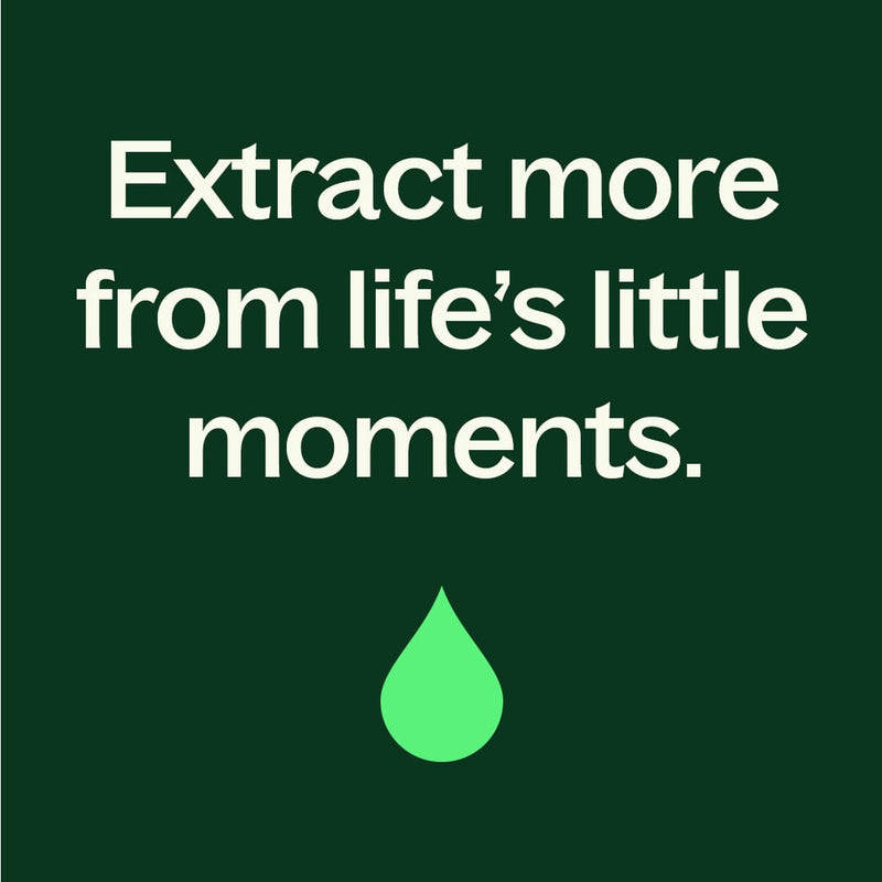 Plant Therapy Wintergreen Essential Oil Essential Oil