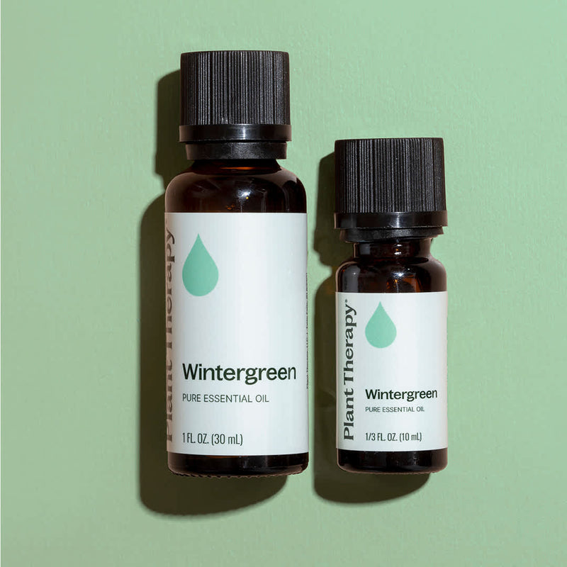 Plant Therapy Wintergreen Essential Oil Essential Oil