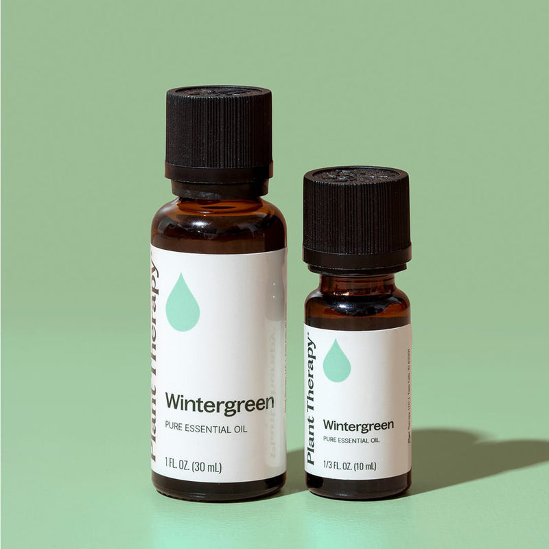 Plant Therapy Wintergreen Essential Oil Essential Oil