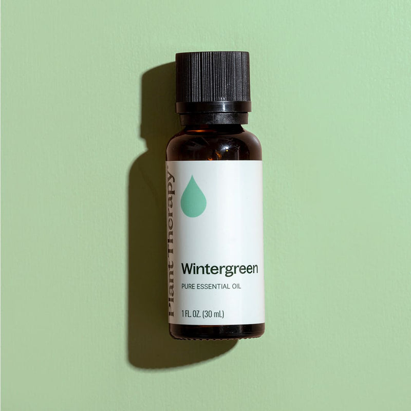 Plant Therapy Wintergreen Essential Oil Essential Oil
