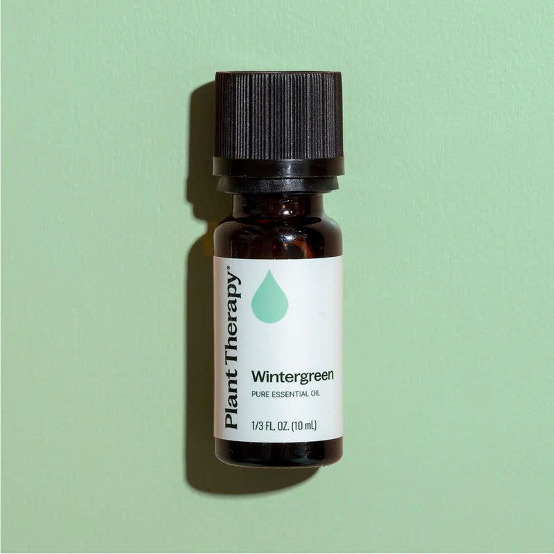 Plant Therapy Wintergreen Essential Oil Essential Oil