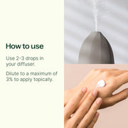 Plant Therapy Wood Spice Essential Oil Blend Essential Oil