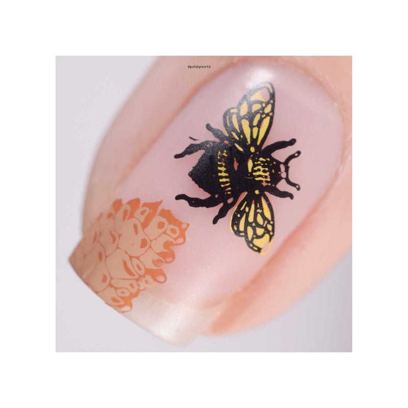 UberChic Beauty Woodland Chic-02 Stamping Plate