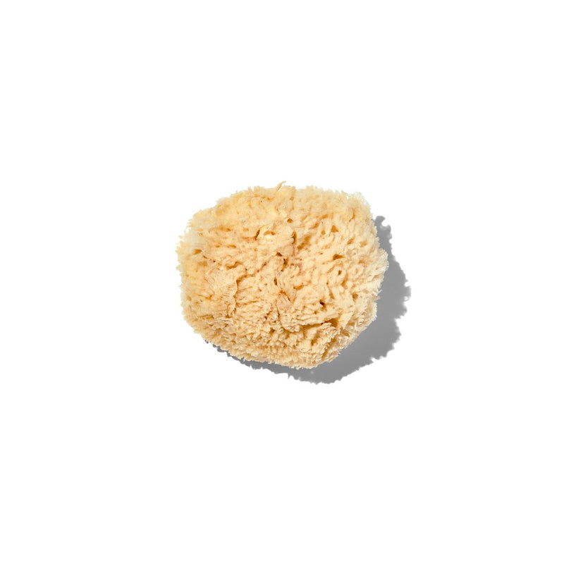 California Baby Natural "Wool" 3-4" Sea Sponge Accessories