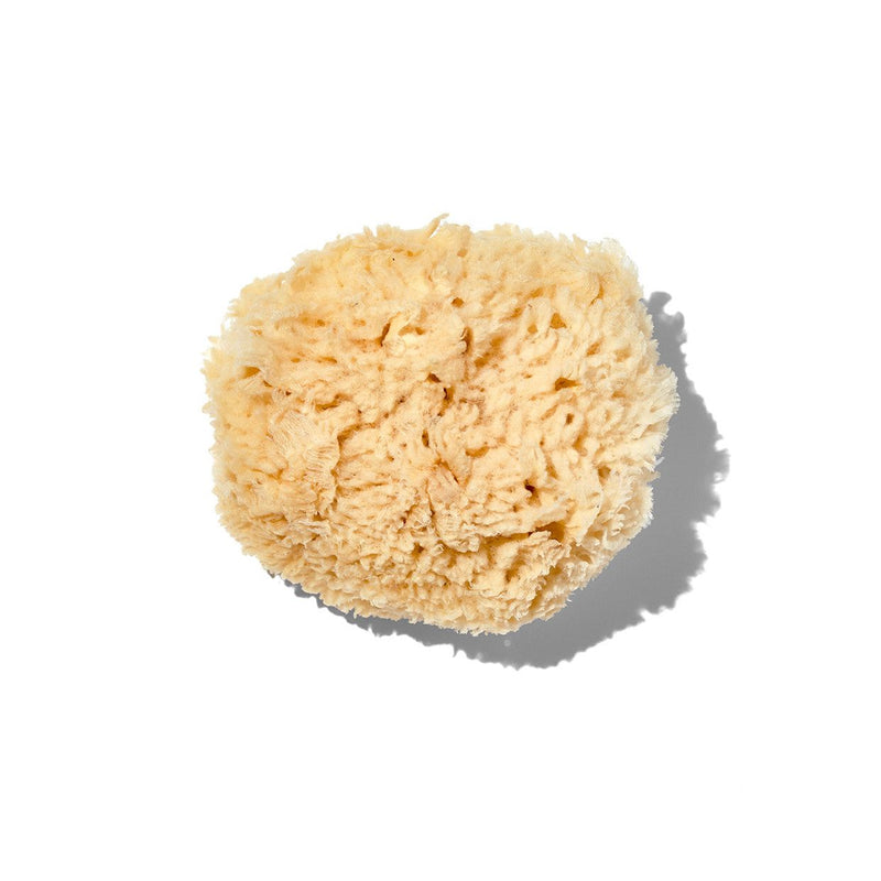 California Baby Natural "Wool" 5-6" Sea Sponge Accessories
