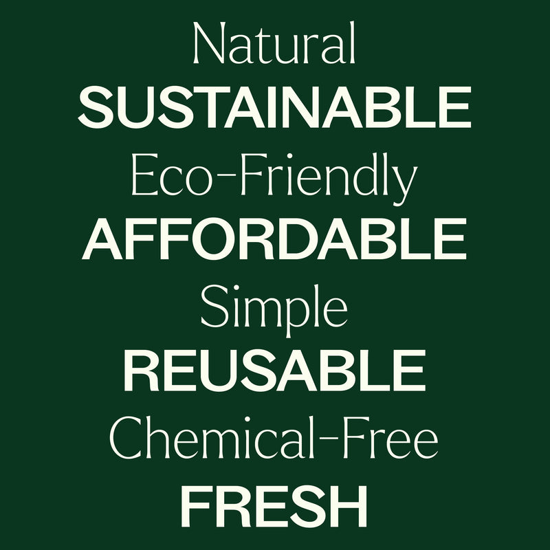 Plant Therapy Wool Dryer Balls 6 Pack and Sparkling Laundry Blend 3 Pack Household