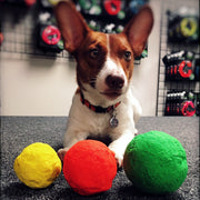 WACKYstore WUNDERball - Best Fetch Toy