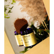 Sun Potion Chaga Mushroom Powder (Wildcrafted) Adaptogen