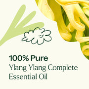 Plant Therapy Ylang Ylang Complete Essential Oil Essential Oil