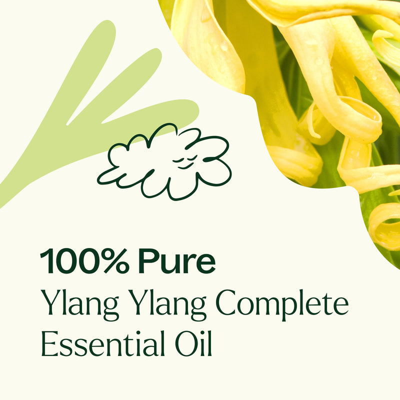 Plant Therapy Ylang Ylang Complete Essential Oil Essential Oil