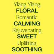 Plant Therapy Ylang Ylang Complete Essential Oil Essential Oil