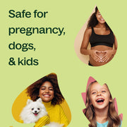 Plant Therapy Ylang Ylang Complete Essential Oil Essential Oil