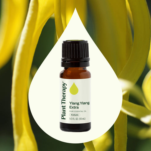 Plant Therapy Ylang Ylang Extra Essential Oil Essential Oil