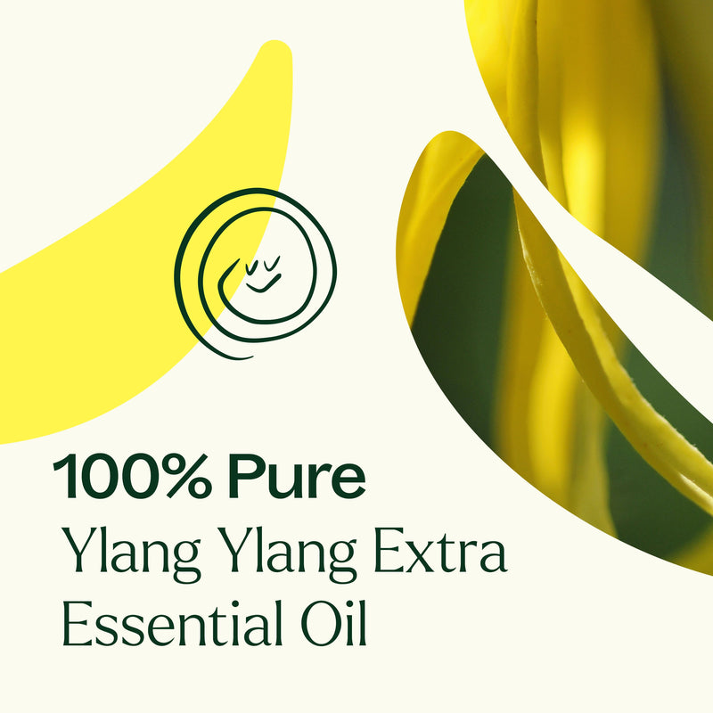 Plant Therapy Ylang Ylang Extra Essential Oil Essential Oil