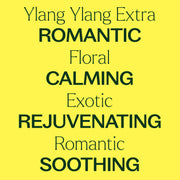 Plant Therapy Ylang Ylang Extra Essential Oil Essential Oil